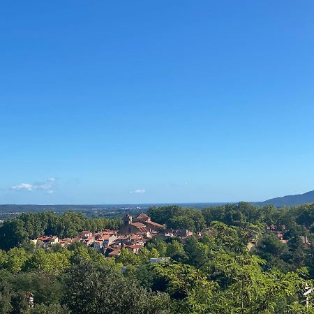 Sculptors Retreat Apartment Céret Екстериор снимка