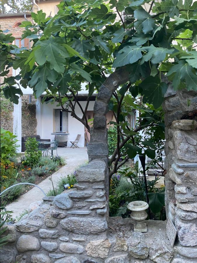 Sculptors Retreat Apartment Céret Екстериор снимка